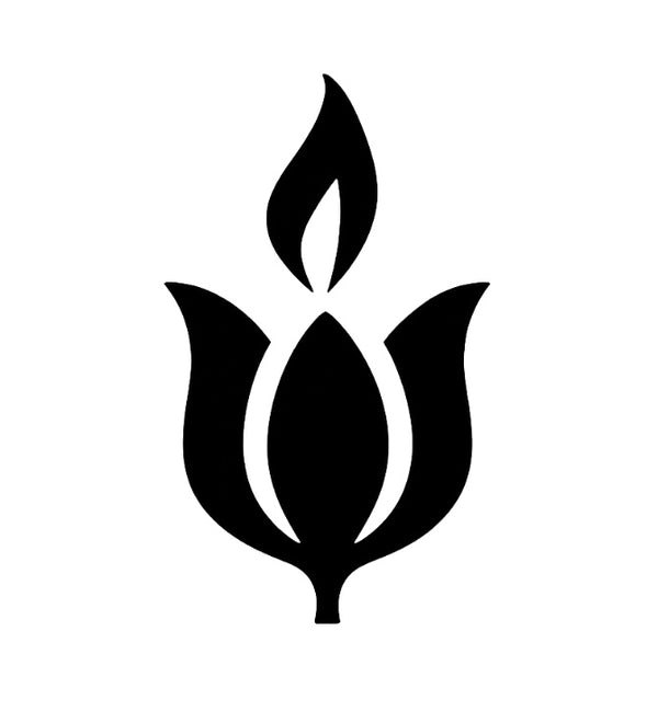 The Black Tulip